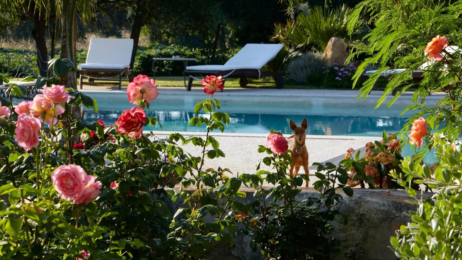 Bed and Breakfast Baglio Sant'Andrea Valderice Bed & Breakfast